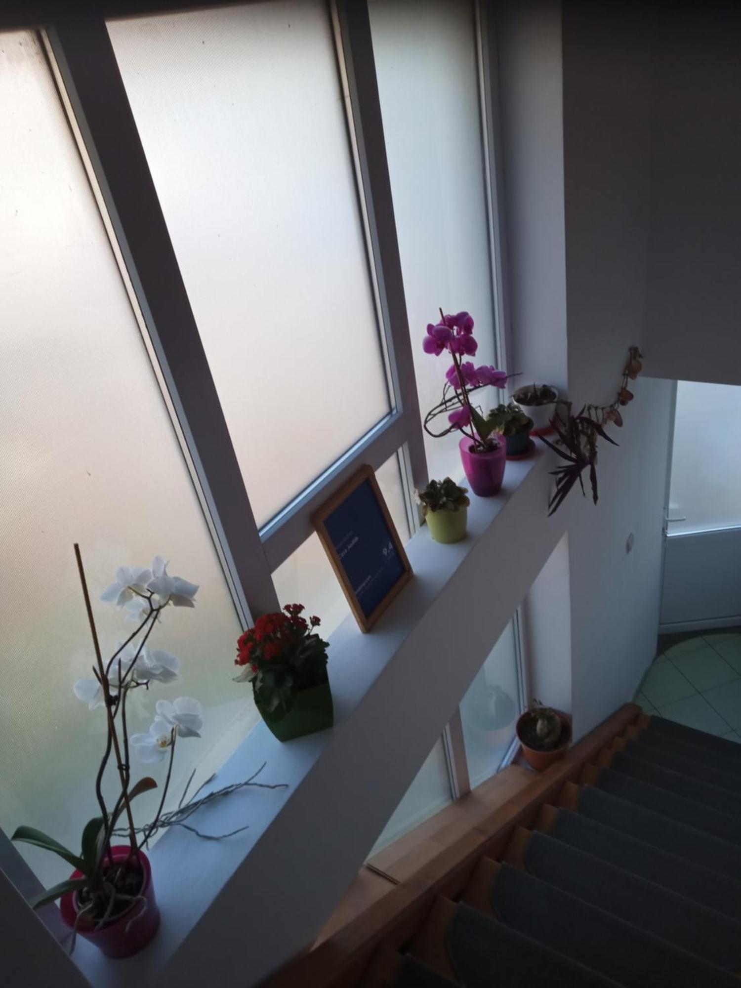 Casa Judith Turda Cameră foto
